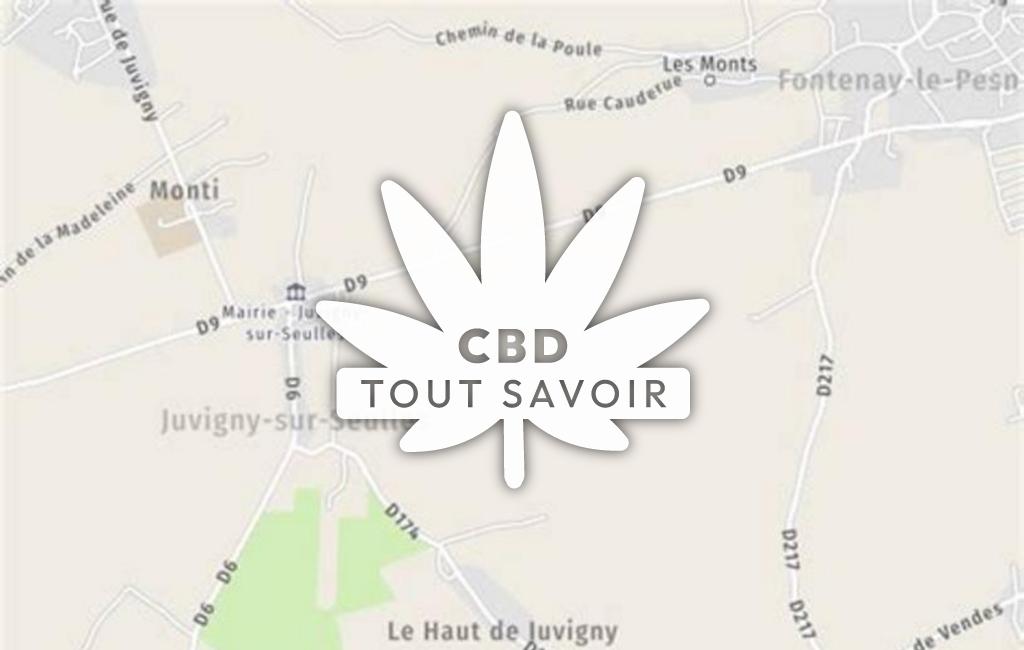 Village à Juvigny-sur-Seulles avec feuille Cannabis CBD