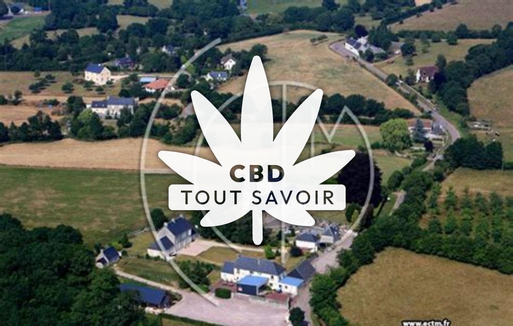Village à Saint-Vaast-sur-Seulles avec feuille Cannabis CBD