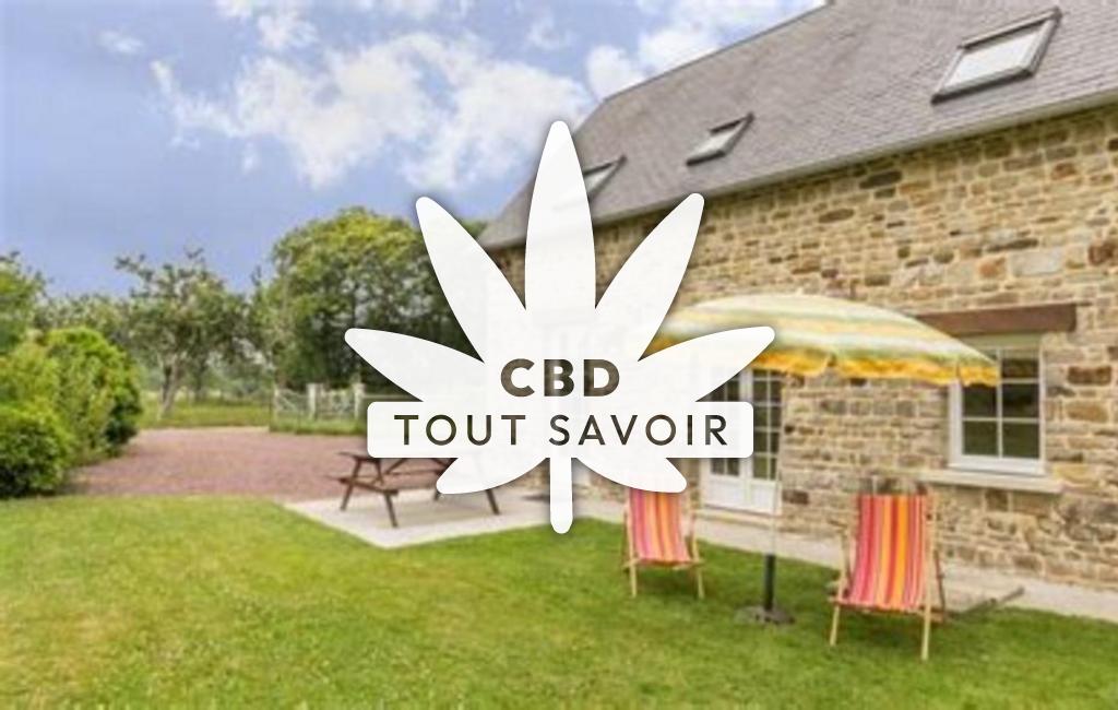 Village à Dialan-sur-Chaine avec feuille Cannabis CBD
