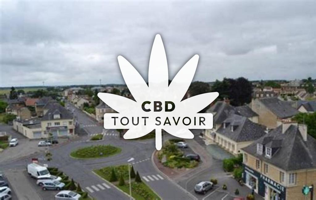Village à Mezidon-Vallee-D'Auge avec feuille Cannabis CBD