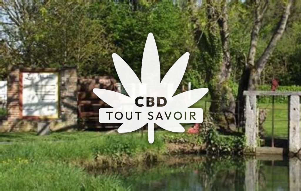 Village à La-Folletiere-Abenon avec feuille Cannabis CBD