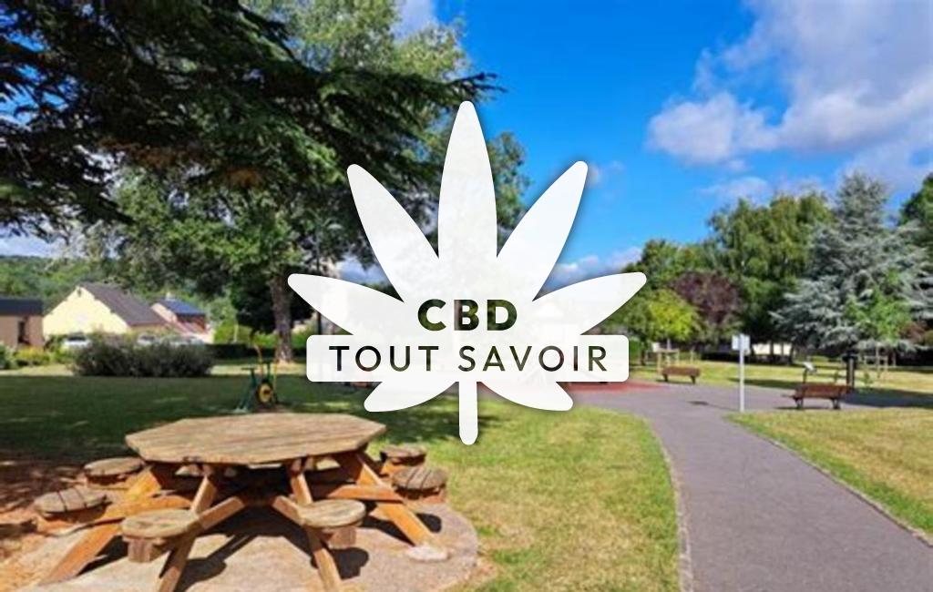 Village à La-Vespiere-Friardel avec feuille Cannabis CBD