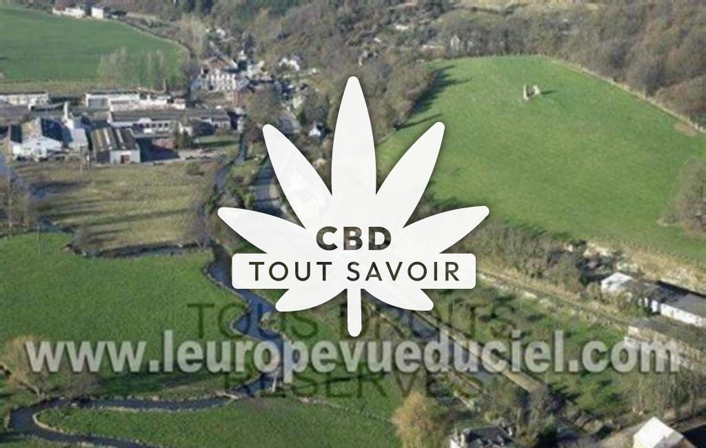 Village à Saint-Martin-de-Bienfaite-la-Cressonniere avec feuille Cannabis CBD