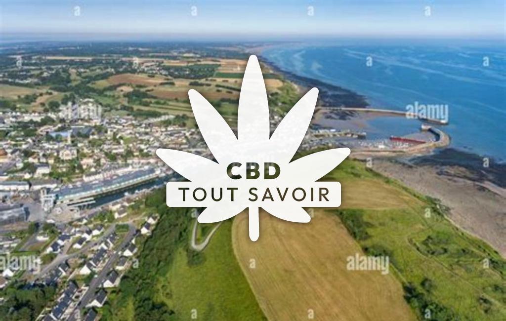 Village à Monts-en-Bessin avec feuille Cannabis CBD