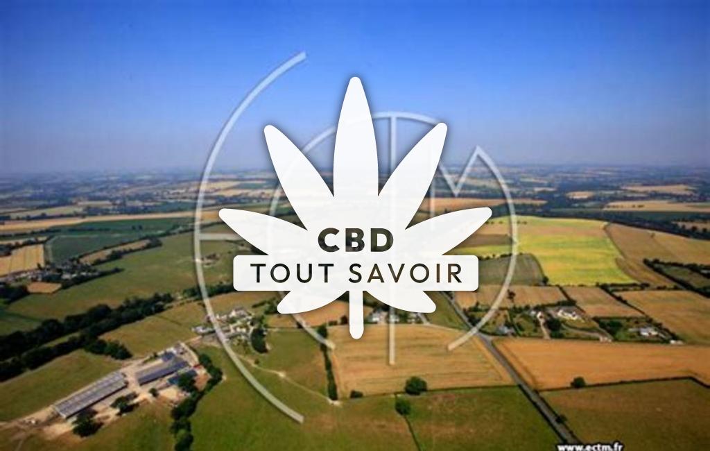Village à Saint-Louet-sur-Seulles avec feuille Cannabis CBD