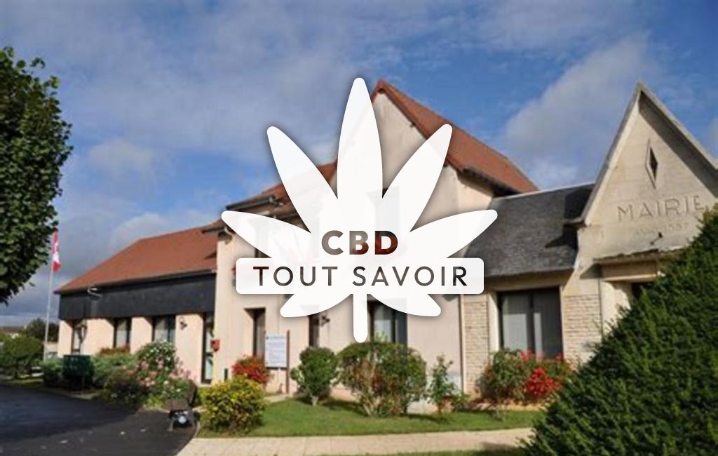 Village à Saint-Martin-de-Fontenay avec feuille Cannabis CBD