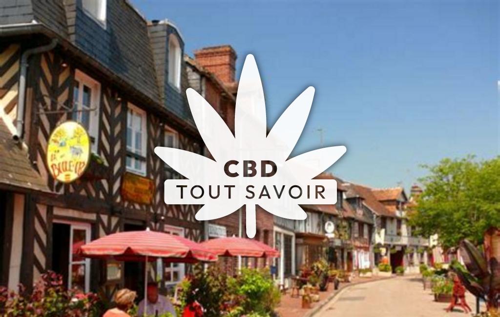 Village à Cambremer avec feuille Cannabis CBD