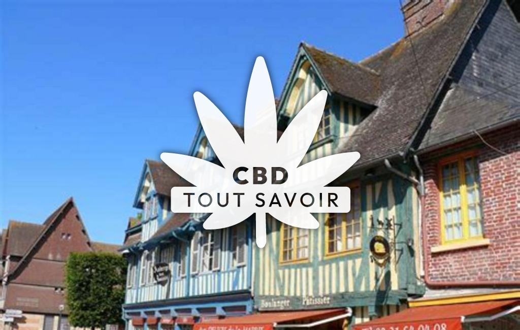 Village à Formentin avec feuille Cannabis CBD