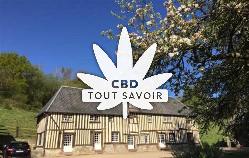 Village à Le-Pre-D'Auge avec feuille Cannabis CBD