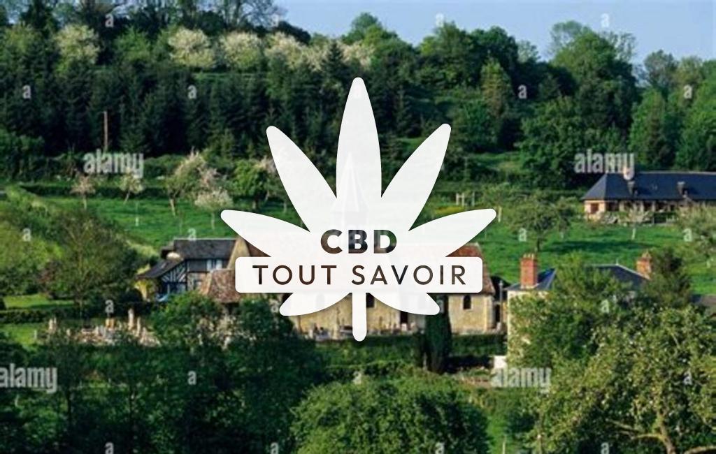Village à Montreuil-en-Auge avec feuille Cannabis CBD