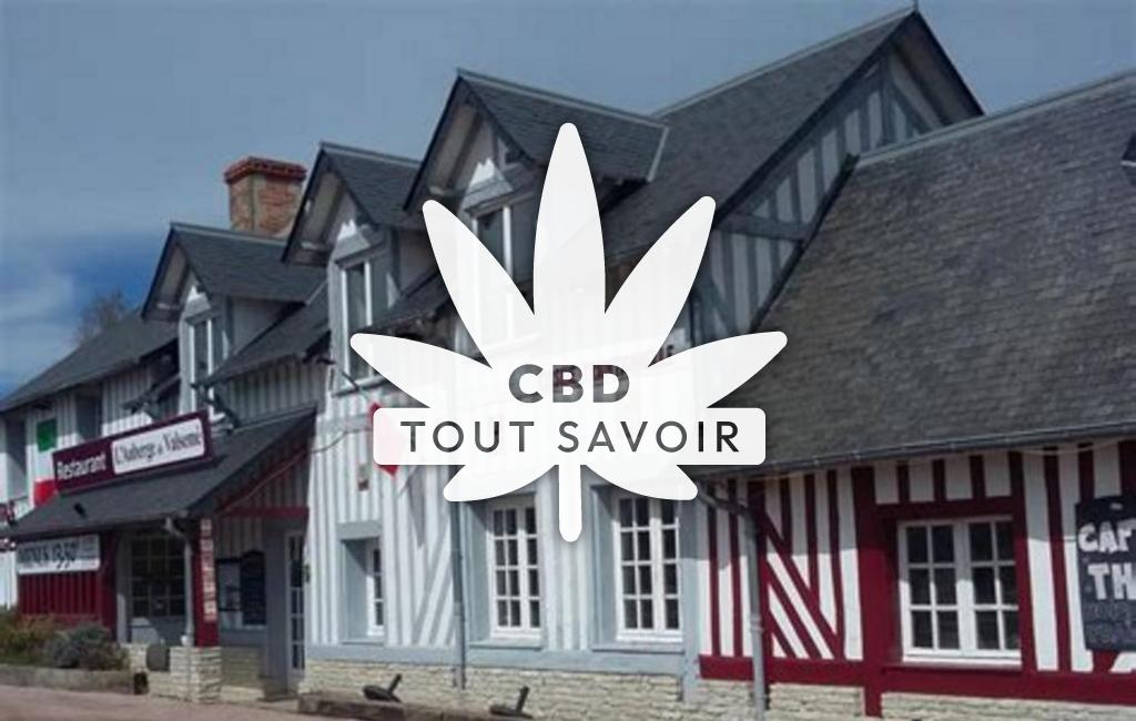 Village à Valseme avec feuille Cannabis CBD