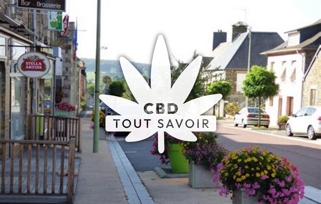 Village à Souleuvre-en-Bocage avec feuille Cannabis CBD