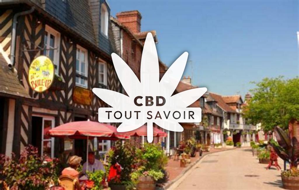 Village à Mery-Bissieres-en-Auge avec feuille Cannabis CBD