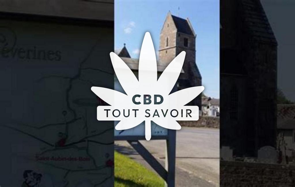 Village à Saint-Aubin-des-Bois avec feuille Cannabis CBD