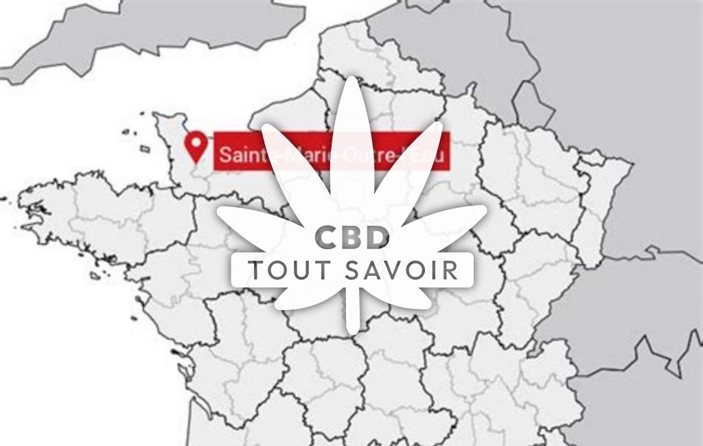 Village à Sainte-Marie-Outre-l'Eau avec feuille Cannabis CBD