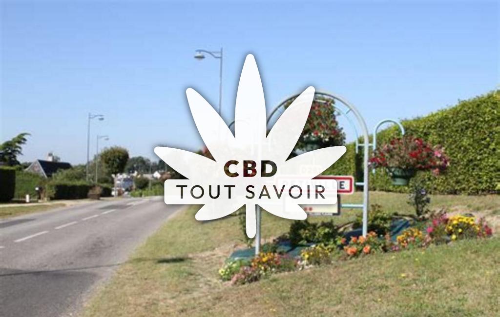 Village à Petiville avec feuille Cannabis CBD