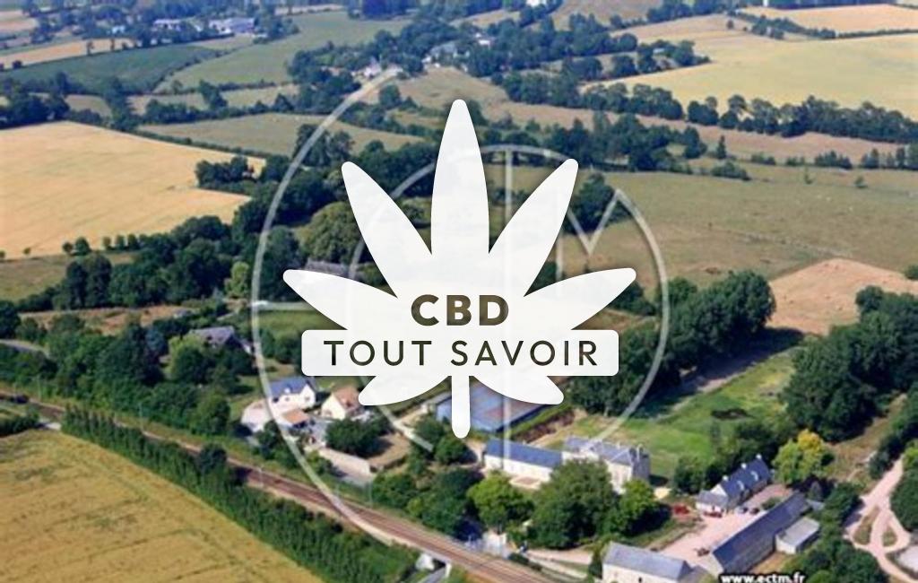 Village à Conde-sur-Seulles avec feuille Cannabis CBD