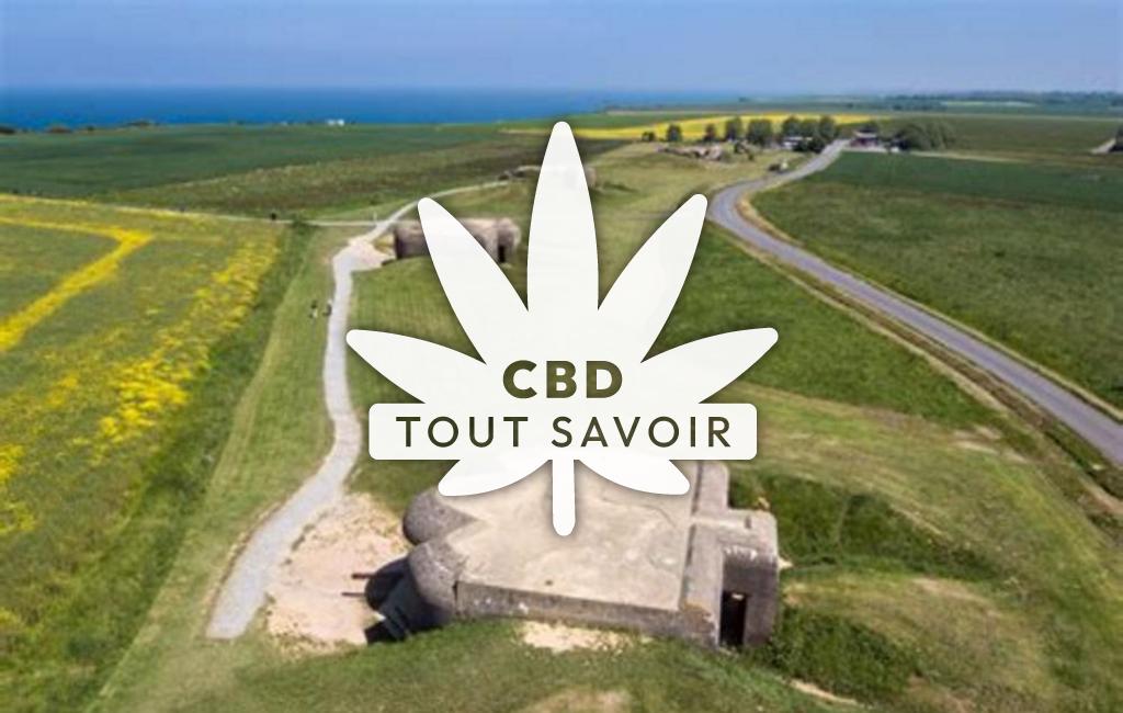 Village à Longues-sur-Mer avec feuille Cannabis CBD