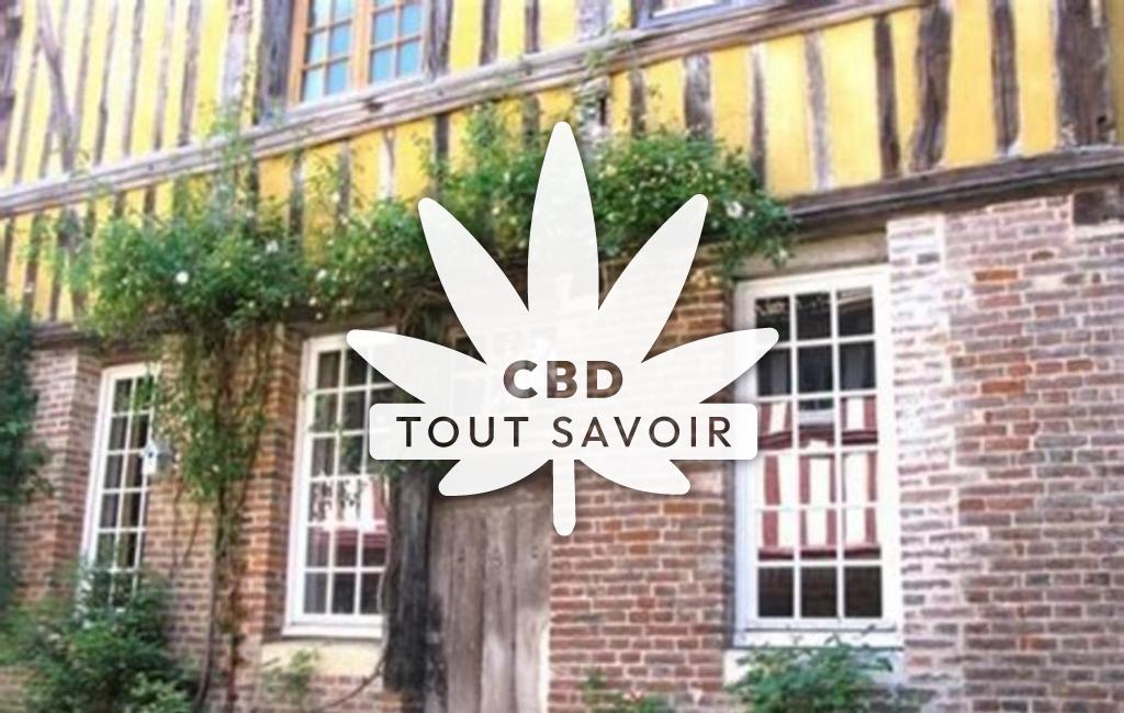 Village à Maisons avec feuille Cannabis CBD