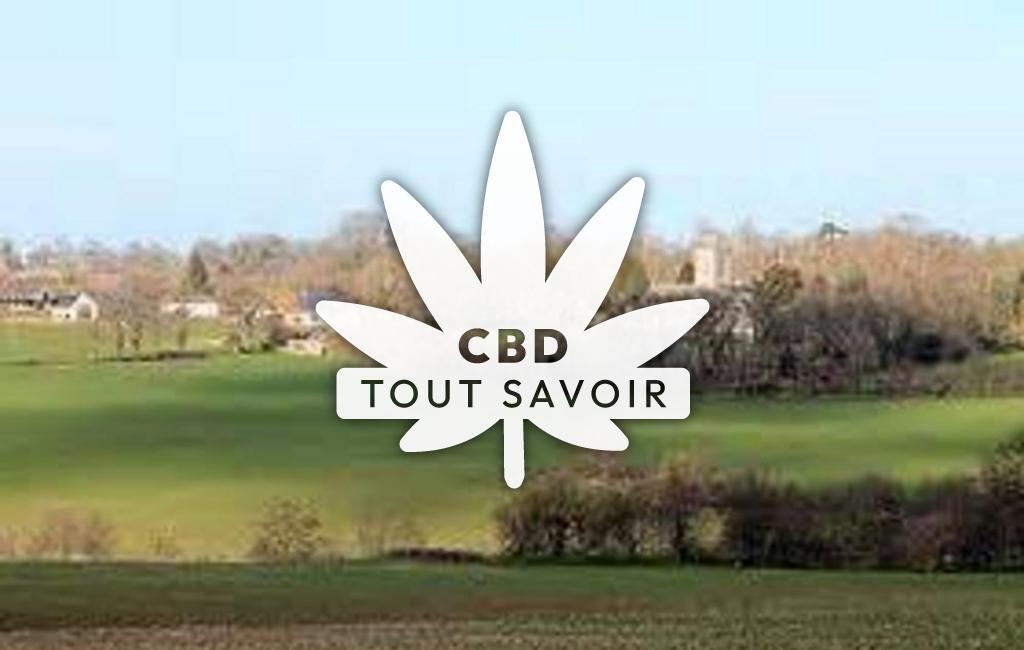 Village à Ranchy avec feuille Cannabis CBD
