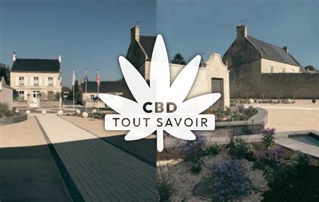 Village à Saint-Martin-des-Entrees avec feuille Cannabis CBD