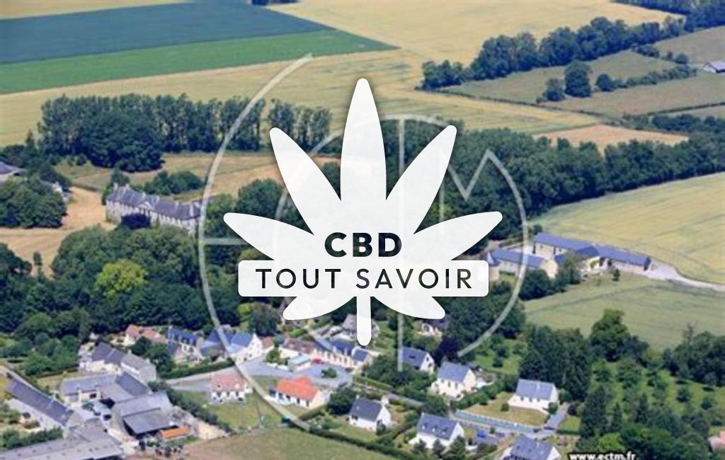 Village à Vaux-sur-Seulles avec feuille Cannabis CBD