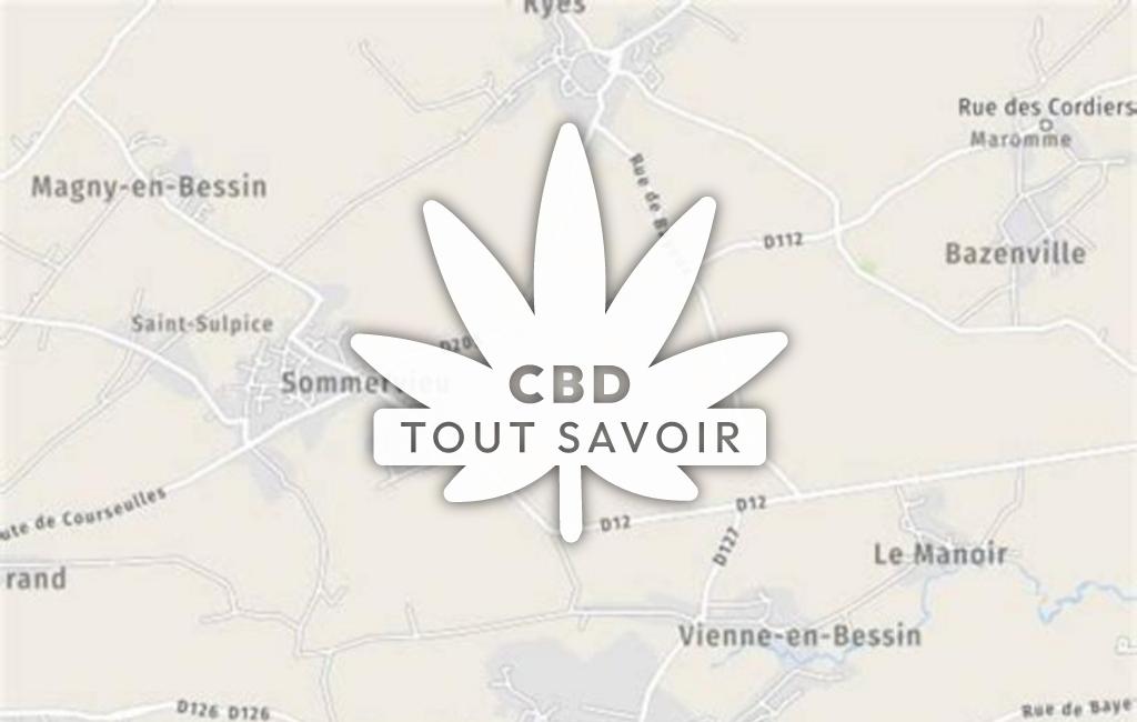 Village à Vienne-en-Bessin avec feuille Cannabis CBD