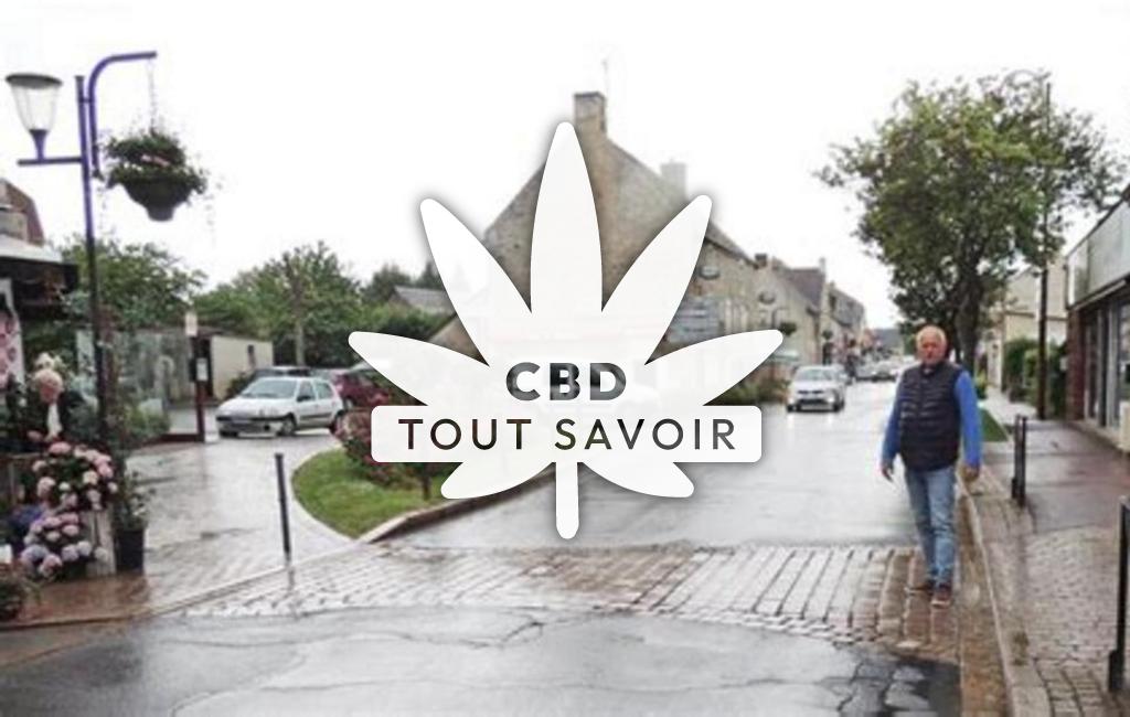 Village à Potigny avec feuille Cannabis CBD