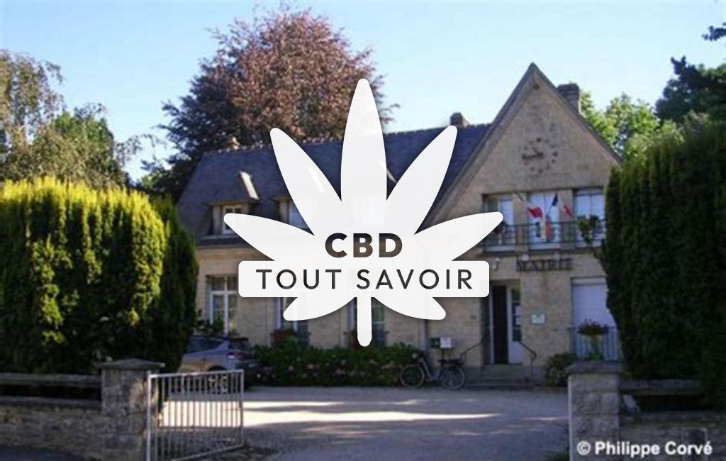 Village à Ussy avec feuille Cannabis CBD