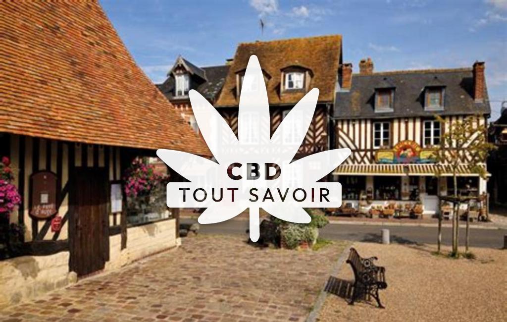 Village à Beuvron-en-Auge avec feuille Cannabis CBD