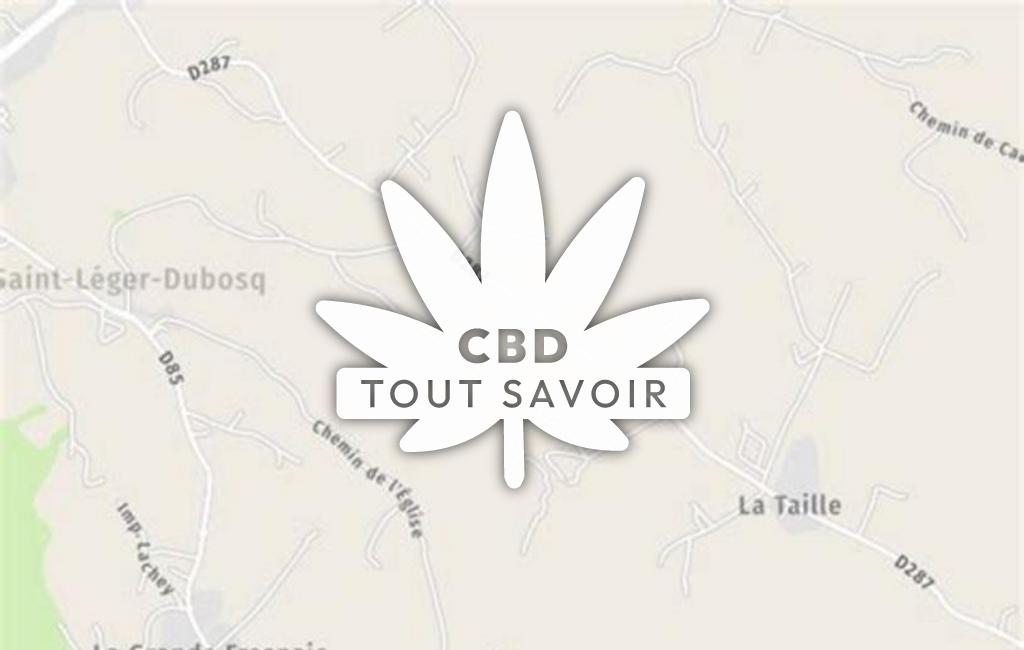Village à Saint-Jouin avec feuille Cannabis CBD