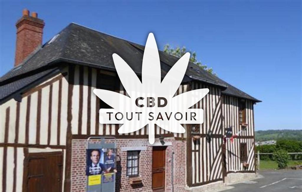 Village à Saint-Leger-Dubosq avec feuille Cannabis CBD