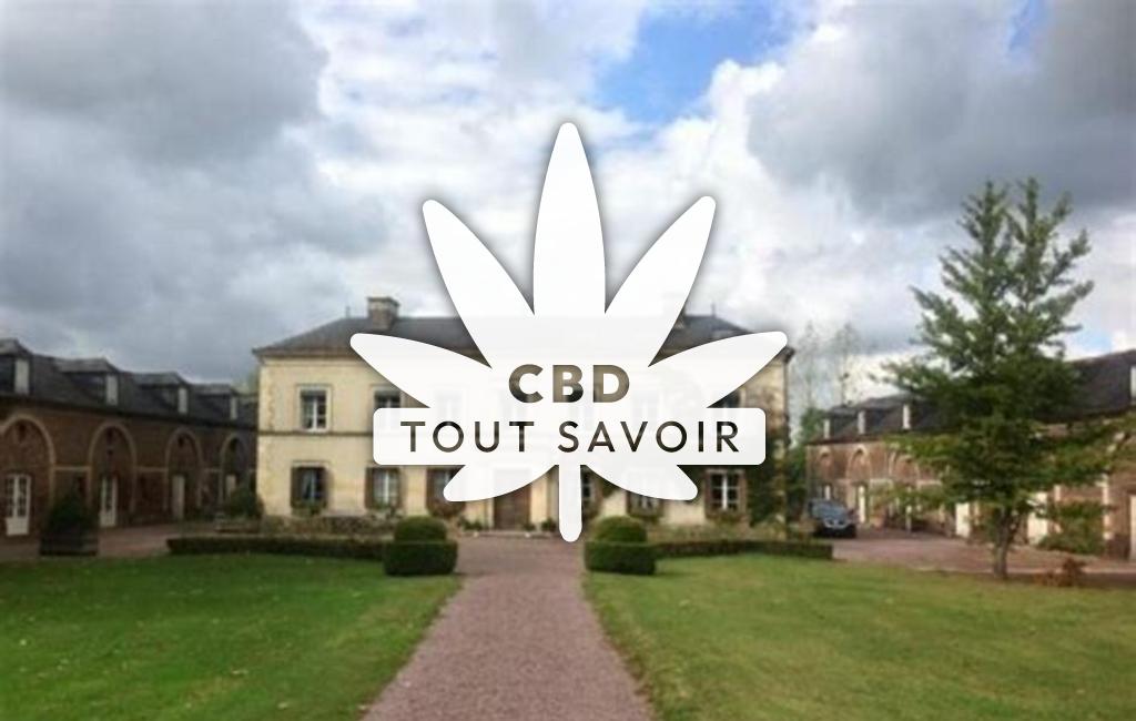Village à Victot-Pontfol avec feuille Cannabis CBD
