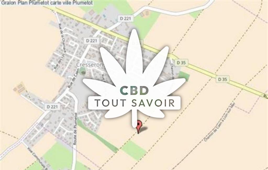 Village à Plumetot avec feuille Cannabis CBD