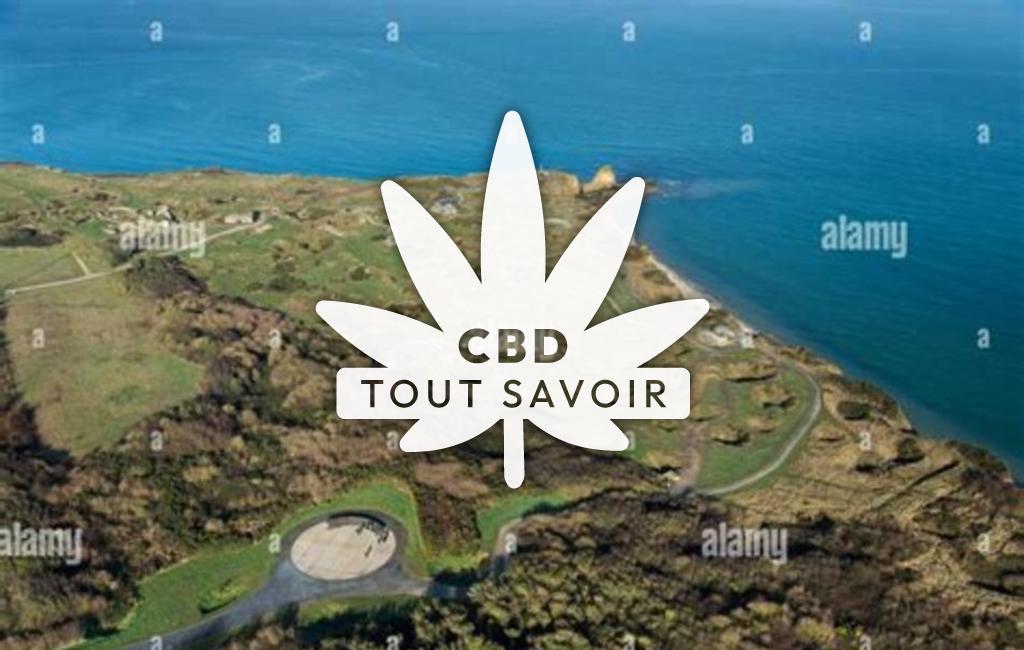 Village à Cricqueville-en-Bessin avec feuille Cannabis CBD
