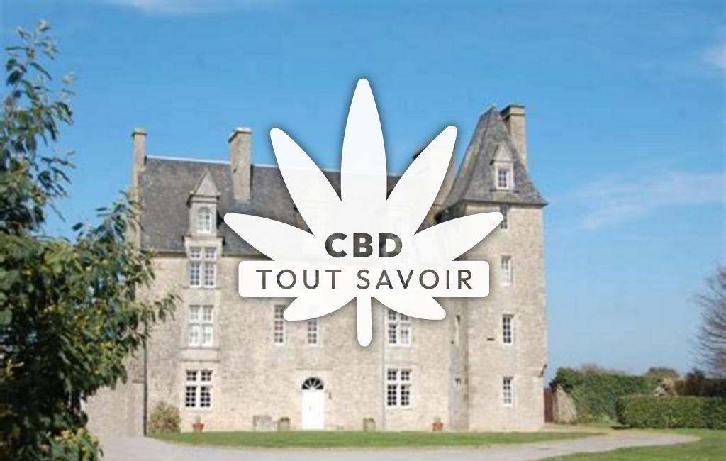 Village à Saint-Pierre-du-Mont avec feuille Cannabis CBD