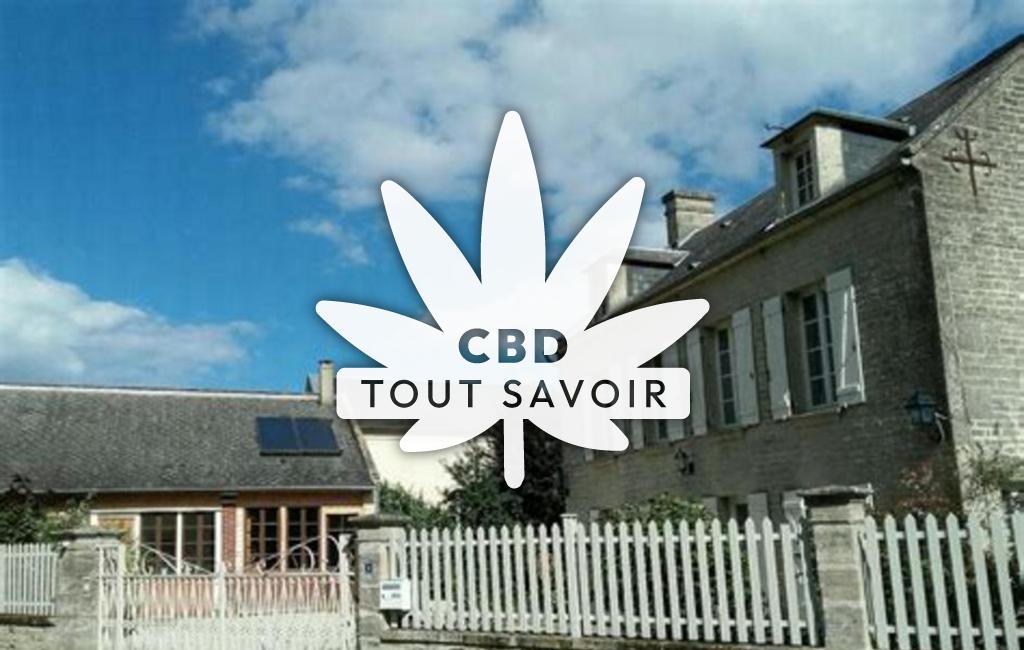 Village à Le-Fresne-Camilly avec feuille Cannabis CBD