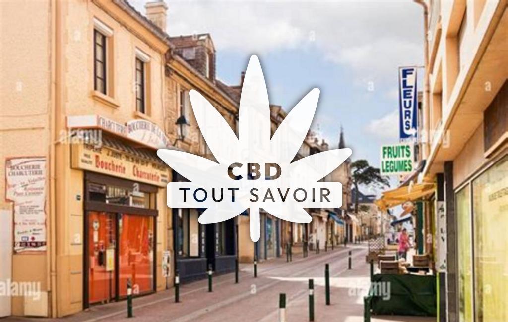 Village à Luc-sur-Mer avec feuille Cannabis CBD