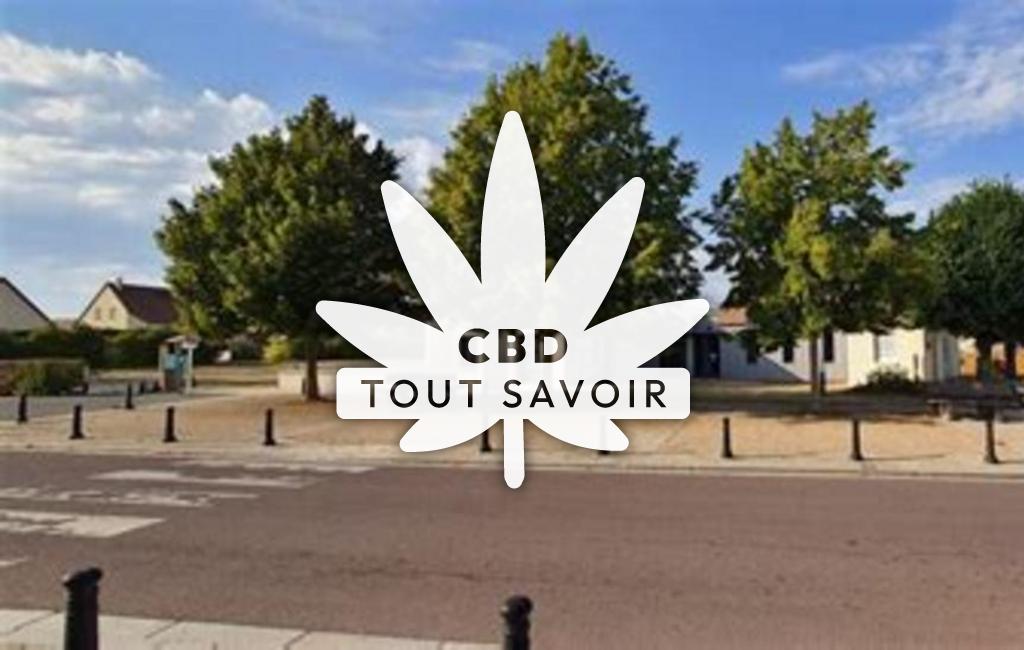 Village à Castine-en-Plaine avec feuille Cannabis CBD