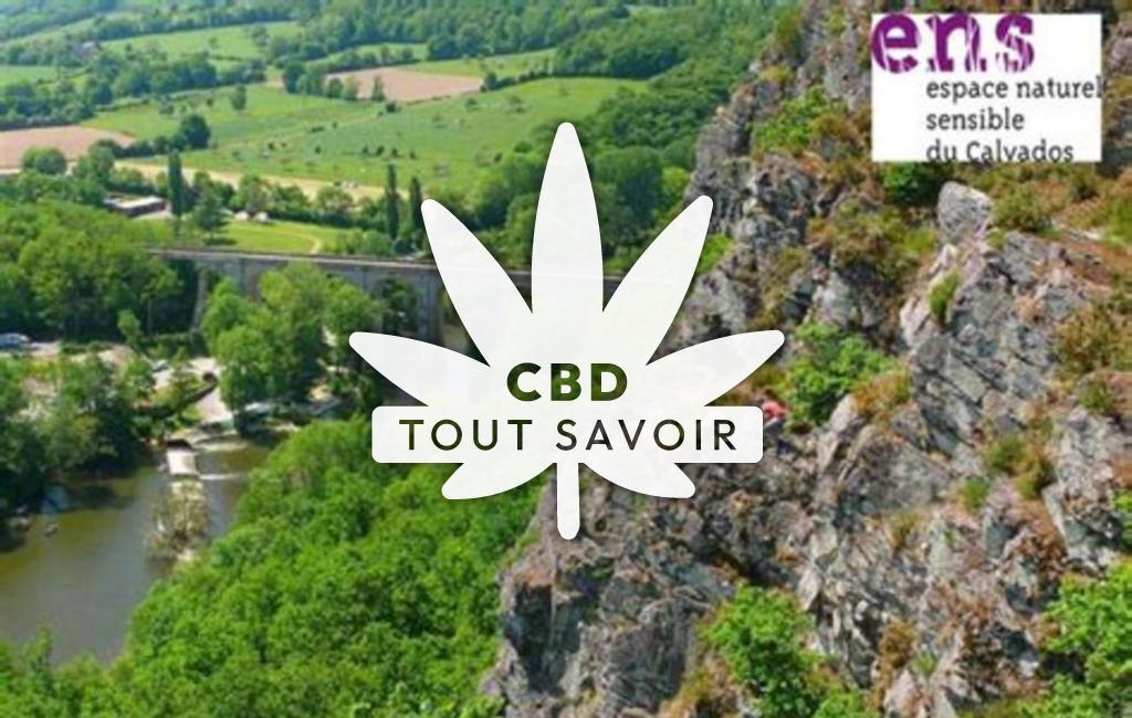 Village à Le-Vey avec feuille Cannabis CBD
