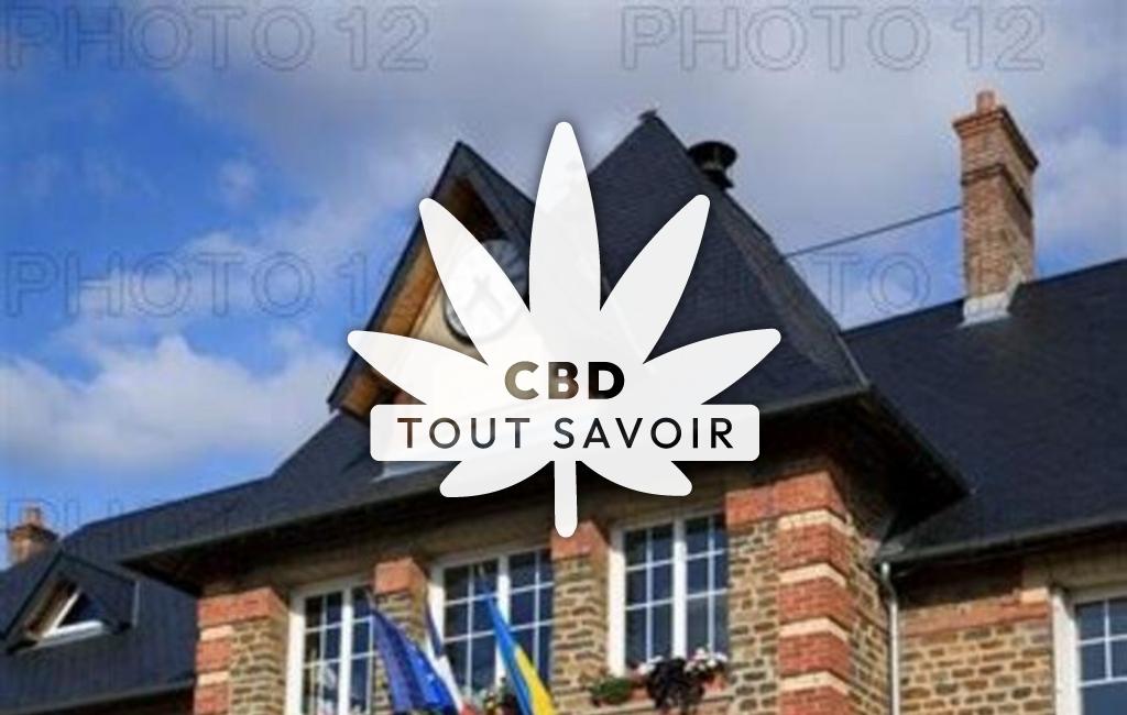 Village à Saint-Remy avec feuille Cannabis CBD