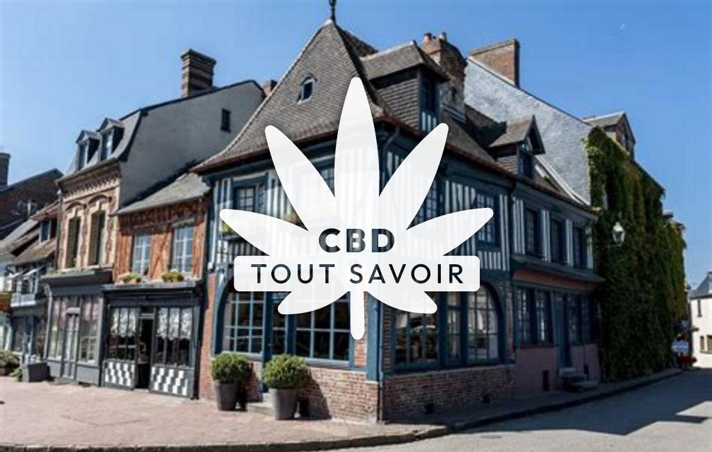 Village à Fumichon avec feuille Cannabis CBD