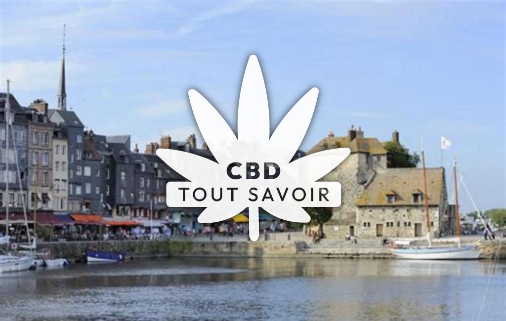 Village à Ablon avec feuille Cannabis CBD