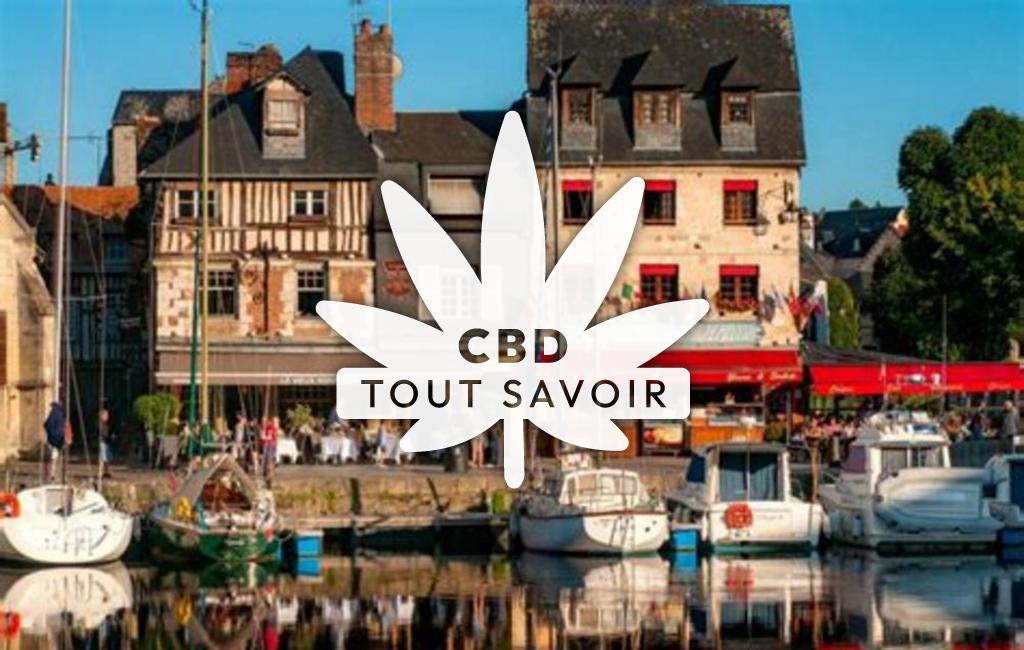 Village à Gonneville-sur-Honfleur avec feuille Cannabis CBD