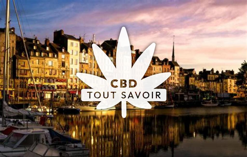 Village à Honfleur avec feuille Cannabis CBD