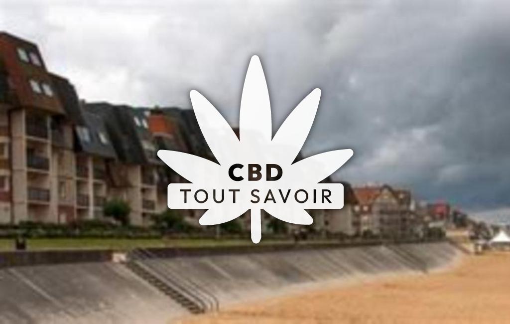 Village à Pennedepie avec feuille Cannabis CBD