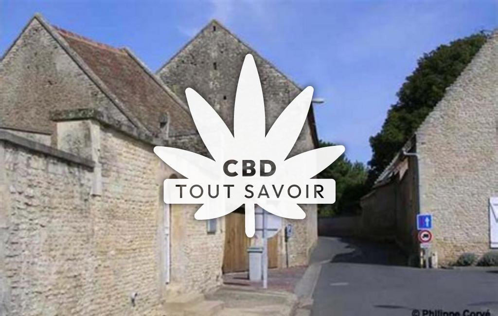 Village à Villons-les-Buissons avec feuille Cannabis CBD