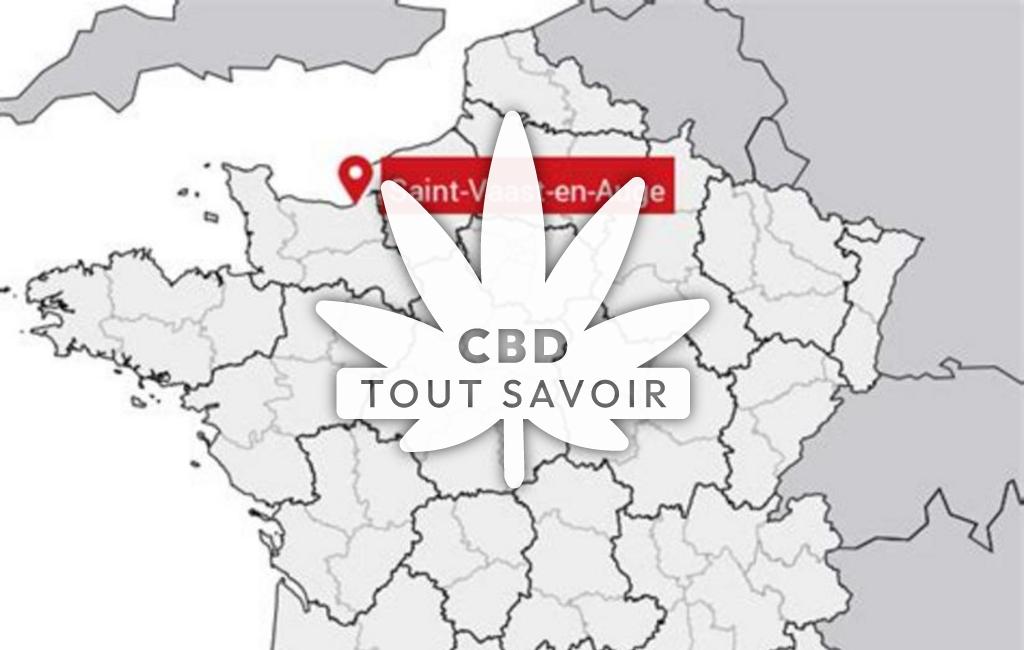 Village à Saint-Vaast-en-Auge avec feuille Cannabis CBD