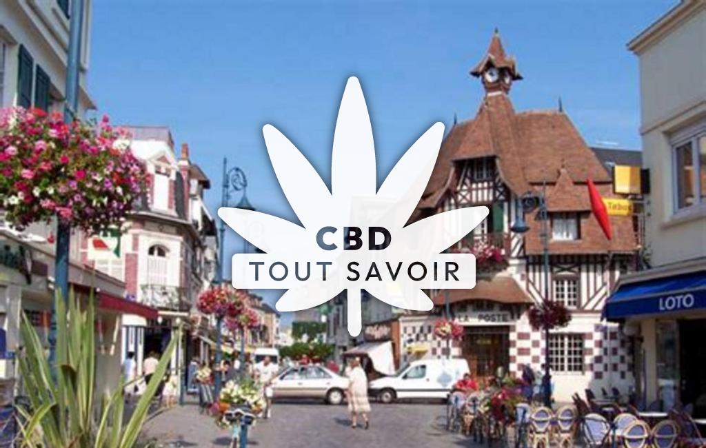 Village à Villers-sur-Mer avec feuille Cannabis CBD