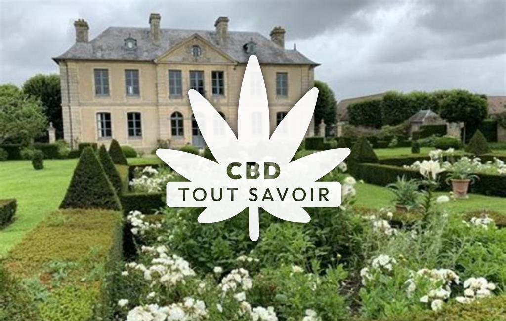 Village à Saint-Pierre-du-Jonquet avec feuille Cannabis CBD